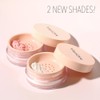 Polvo suelto LOOSE SETTING POWDER - PINK Moira