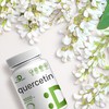 Quercetin 1000mg Per Serving (2 Pack) | 300 Capsules, High
