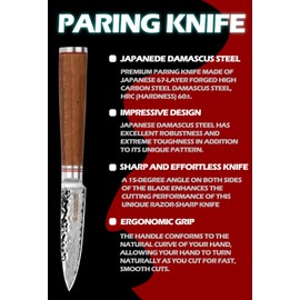YOUSUNLONG Paring Knives 3.5 Inch - Japanese Hammered Damascus Steel Peeling Knife - Natural Walnut Wooden Handle - Fruit Knife Seiko knife