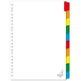 Index Kangaro DIN A4 Blank Cardboard 190 g 23 Pages 10 Pieces White Assorted Tabs