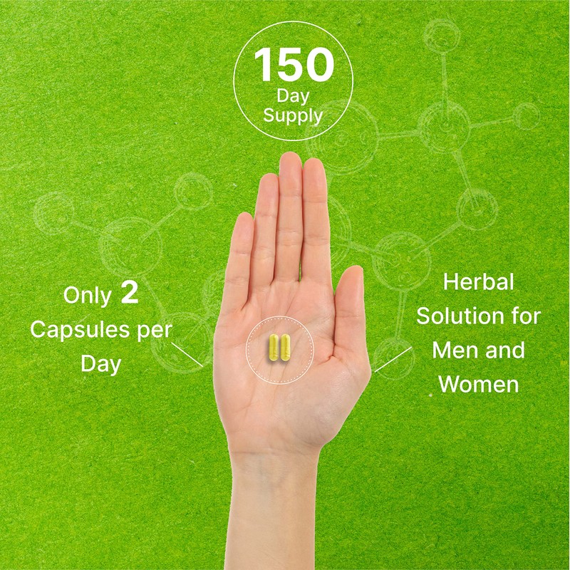 Quercetin 1000mg Per Serving (2 Pack) | 300 Capsules, High