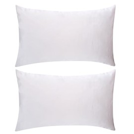 SMUG Satin Pillowcases 2 Pack | Luxury Satin Pillowcases | Silky, Cooling Covers for Frizz-Free Hair & Smooth Skin, Anti-Wrinkle with Envelope Closure for Women (Standard/Queen) | Cloud