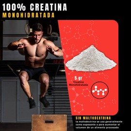 Creatina Monohidratada | 100% PURE | sin Maltodextrina, sin Mezclas| 100 Porciones