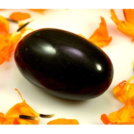 India Rare Shaligram Stone Hindu Pooja Shivlingam Shiva Shivling Small Pocket Size 1.75" inch Natural Pure and Original Shaligram from Gandaki River Saligramam Shila Lakshmi Narayan Chakra Sacred