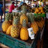 Piña Reàl Infused Exotics, Pineapple Puree Infused Syrup, 16.9 FL