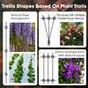RiaYer Professional T316 Stainless Steel Wire Trellis Kit for Climbing
