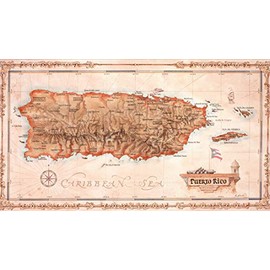 One Treasure Limited Antique Vintage Old World Caribbean Puerto Rico Island Map