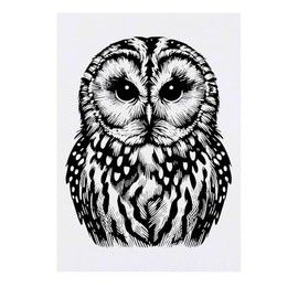 'Tawny Owl' Temporary Tattoo - Water Resistant, Skin-Safe, Non-Toxic Transfer (TO00080233)