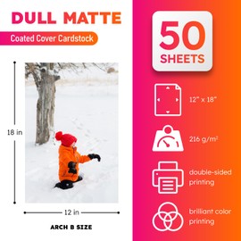 Dull 80lb Cover Digital Low Gloss Cardstock, Double Sided C2S, Coated, Perfect for Color Laser Printing, Design Proposals, Business Cards, Flyers, Brochures | Matte Finish | 12" x 18" | 50 Sheets