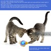 GUCHO Cat Toy Balls,Cat Feather Toy Ball,Interactive Toys for Cats,Smart