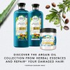 Herbal Essences Bio: Renew Argan Oil of Morocco Repair Shampoo,