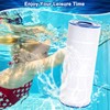 Poolimpid CS100 Pool Filter Compatible with Jandy CS100, R0462200, PJANCS100,