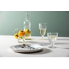 Schott Zwiesel Era Crystal Glass, 10 Oz. White Wine (Set