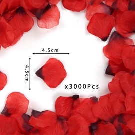 Set of Approximately 3,000 Petals, Flower Shower, Artificial Flowers, Proposal, Decorations, Weddings, After Parties, Birthdays, Celebrations, Christmas, Party Decorations (Red and Black, 3,000 Pieces)