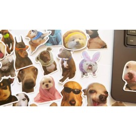 Car Stickers 50 Dog Meme Stickers Doggo Faces Funny Dogs Laptop Water Bottle Phone