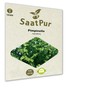 SaatPur Pimpinelle Seeds for Approx. 90 Plants Meadow Button Green