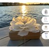 Biodegradable Water Burial Urn Kit - Cruise Approved | Ocean