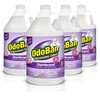 OdoBan Disinfectant Concentrate and Odor Eliminator, Made in the USA,