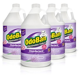 OdoBan Disinfectant Concentrate and Odor Eliminator, Made in the USA, Lavender Scent, 4 Gallons
