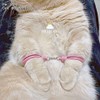 POYAMUSE Mini Handcuffs Metal Keychain Creative Handcuff Keyring-pink