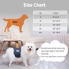 vecomfy Pañales para Perros Machos (Paquete de 5), Lavables, Reutilizables,