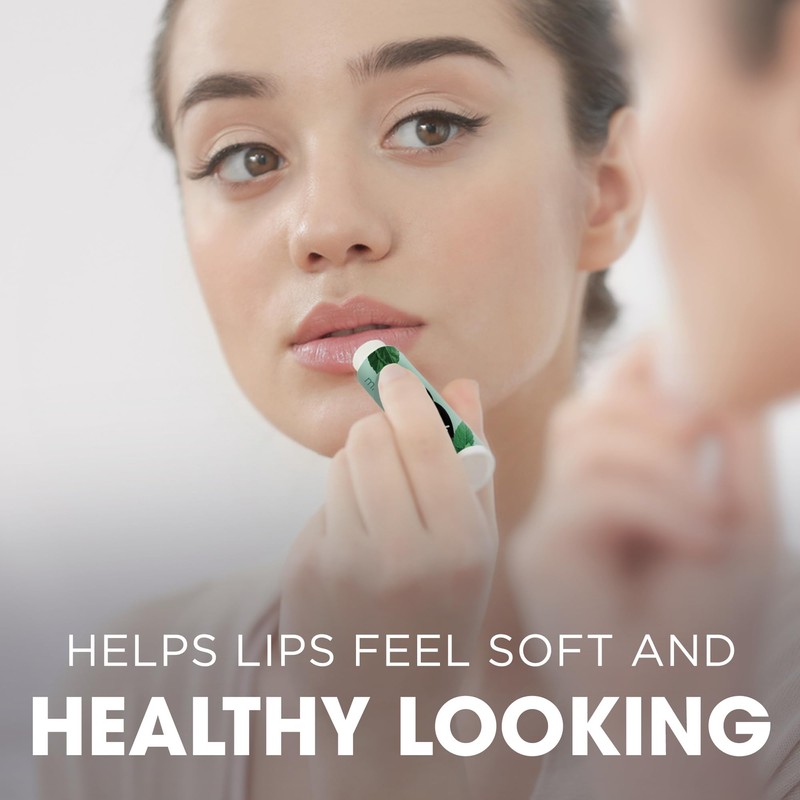 ChapStick Lip Balm Bundle – Spa Collection + Moisturizer 2-in-1