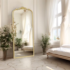 AIXI HOME Arendahl Traditional Gold Arch Full Wall Mirror, 28"x50" Carved Elegant Rectangle Vintage Mirror with Antique Ornate Frame, Baroque Inspired Home Decor for Vanity Bedroom Entryway