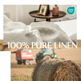 Simple&Opulence 100% Linen Duvet Cover Set, 2 Pieces Belgian Flax Breathable Bedding, 1 Comforter Cover+1 Pillowsham with Coconut Button Closure(Twin,Linen)