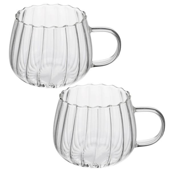 Gatuida 2pcs Transparent Glass Drinking Mugs Creative Coffee Cups for