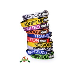 Dexil Limited Security Black Color Coded S-M L-XL Neoprene Padded Dog Collar Prevents Accidents by Warning Others of Your Dog in Advance