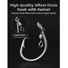 BLUEWING Offset Circle Hook with Swivel 5pcs Stainless Steel Fishing