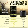 GWYNNE Shilajit Gummies Shilajit Puro Del Himalaya 85 Micronutrientes Apto