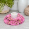 Boston International Decorative Front Door/Wall Wreath, Pink Succulent