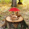 Squirrel Feeder Picnic Table for Animal Bench Feeder Lovers Gifts