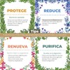 Té Herbal 28 Dias, Té Limpia y Té Reduce (Pack