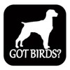 Brittany Spaniel got birds TP 1335 vinyl 6" Decal Sticker