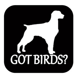 Brittany Spaniel got birds TP 1335 vinyl 6" Decal Sticker bird dog vest