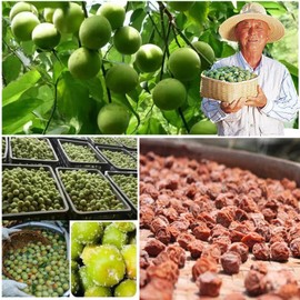Sweet Dried Plums Salty for Chinese Snacking 9.8oz/280g Flavoring unsweetened any Iced Beverage Preserved Sour Prunes Salty Fruit healthy Sweet and Plum for a Delicious Twist