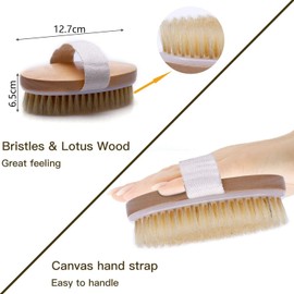 Body Brush, Dry Brushes Ccorporal Remove Dead Skin, Used To Improve Blood Circulation, Regular Lymphatic Function Against Cellulite, Natural Bristles and Wood, Oval