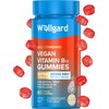 Wellgard Vegan Vitamin B12 Gummies – High Strength B12 Supplement