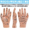 EdisonBrain Rubbing Reflection Area Acupuncture Manipulative Model Hand Model