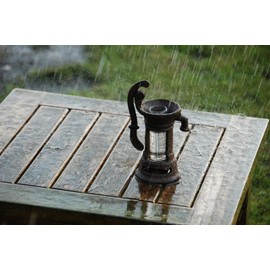 Esschert Design TH67 Rain Gauge - Watering Can & Pump Assortment