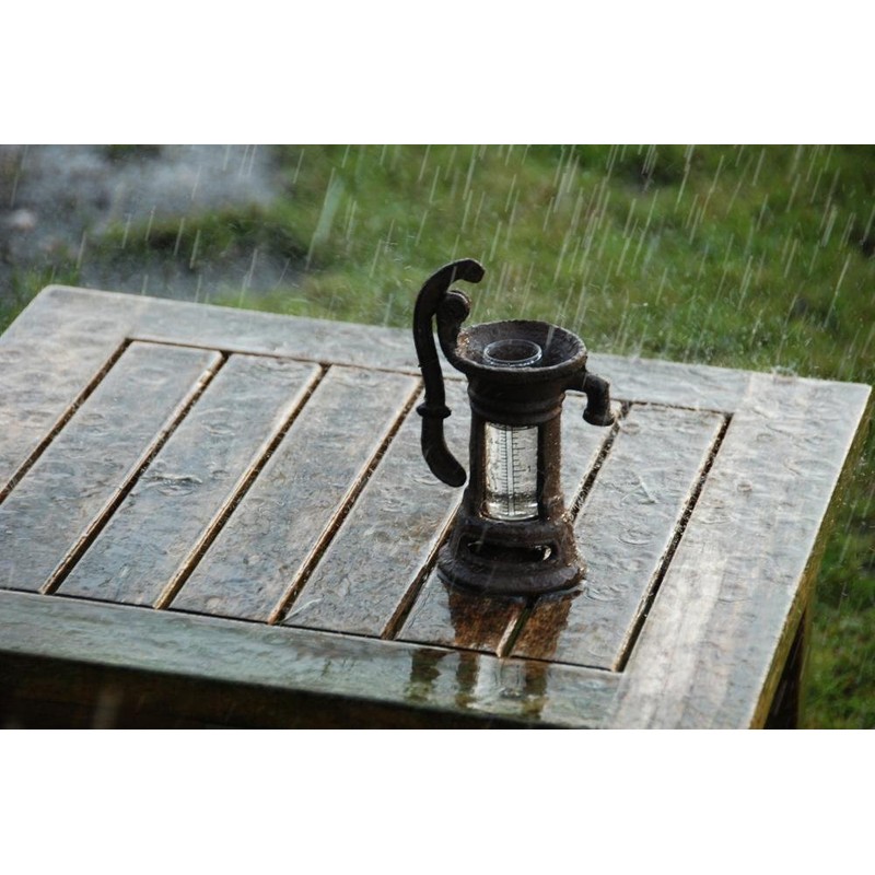 Esschert Design TH67 Rain Gauge - Watering Can & Pump