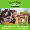 Natural Wag 100% Psyllium Fiber for Dogs – Supports Digestive
