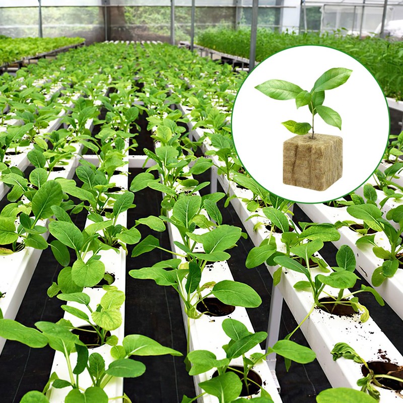 Nuyoah Rock Wool Cultivation Cubes Hydroponics Rockwool Cube Rockwool Cube