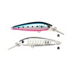 Ams Design (ima) Ataru (ataru) 70S #X5632 Sardine Grand Dissection