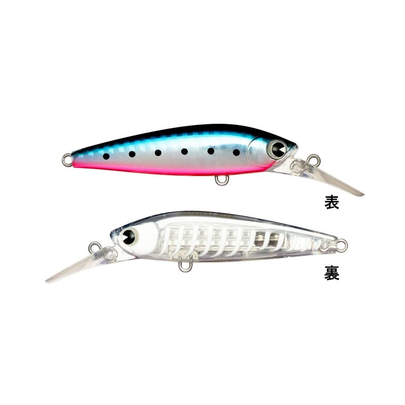 Ams Design (ima) Ataru (ataru) 70S #X5632 Sardine Grand Dissection