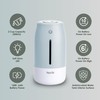 Airvana Aqua Glo Personal Humidifier – Ultrasonic Cool Mist, Rechargeable