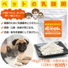 Pet Lactic Acid Bacteria Supplement for Intestinal Life, 1.1 oz