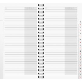 Brunnen Phone Address Book Refill 10 x 19 cm